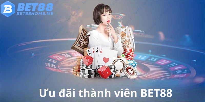 Ưu đãi dành riêng hội viên của nhà cái.
